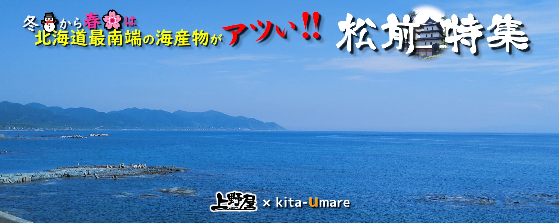 津軽海峡松前前浜で揚がる絶品海鮮を全国へお届け！松前特集２０２４開催中！