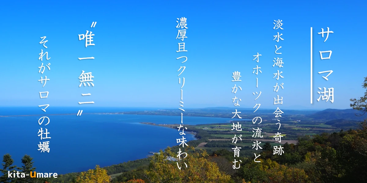 サロマ湖と牡蠣イメージ画像_淡水と海水が出会う奇跡_オホーツクの流氷と豊かな大地が育む濃厚且つクリーミーな味わい_唯一無二、それがサロマの牡蠣