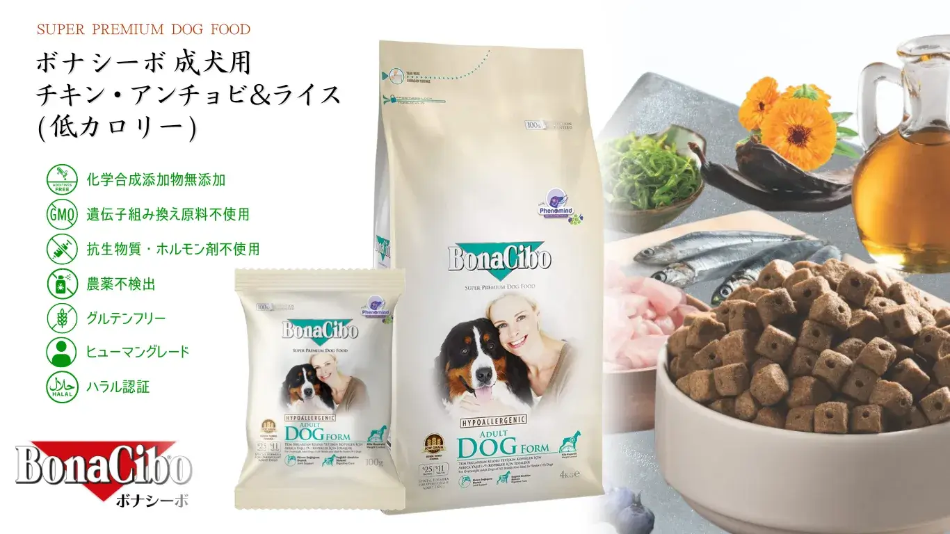 ボナシーボ BonaCibo 成犬用 チキン・アンチョビ＆ライス(低カロリー)