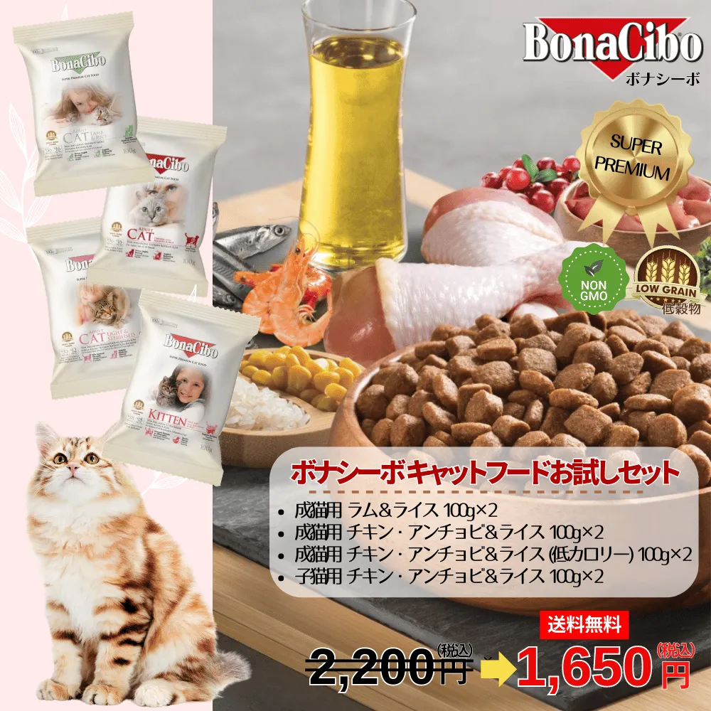 無添加キャットフード ボナシーボ (Bonacibo) 成猫・子猫用ドライフードお試しセット注文はこちらから