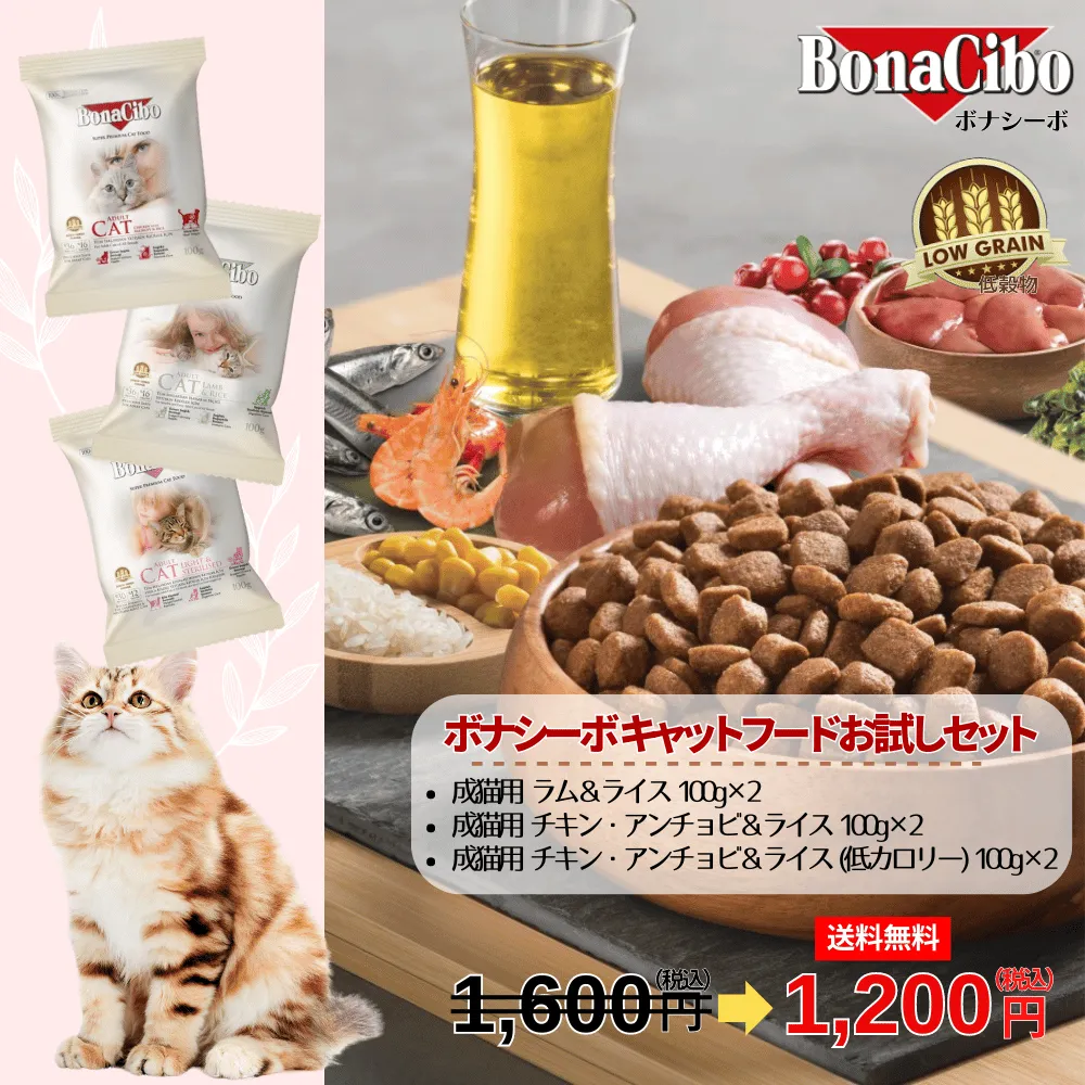 無添加キャットフード ボナシーボ (Bonacibo) 成猫用ドライフードお試しセット注文はこちらから